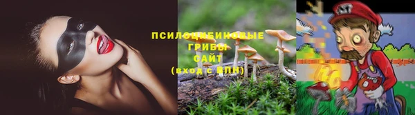 гашик Навашино