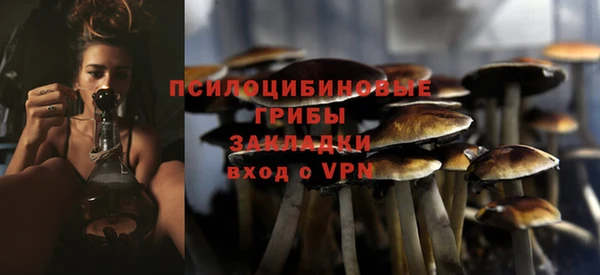 спиды Новозыбков