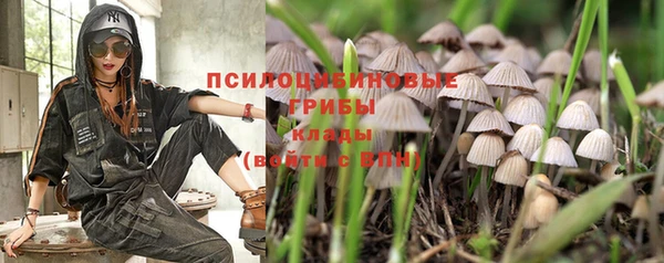 твердый Нефтегорск