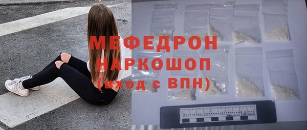 сатива Новокубанск