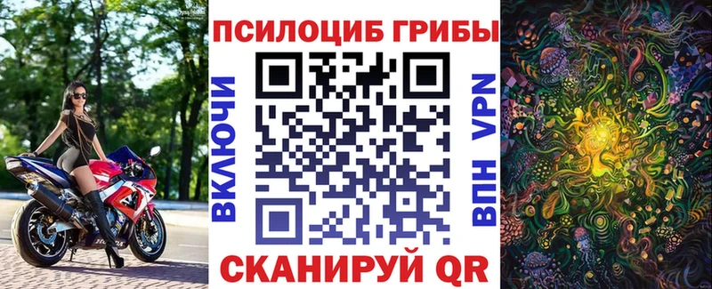 Галлюциногенные грибы GOLDEN TEACHER  Купить закладки  Дрезна 